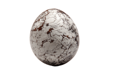 a white and brown egg on a white surface