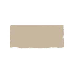 Torn paper rectangle shape with rough edges isolated on for design projects vector