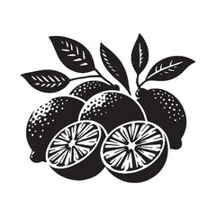 Limes vector illustration on a white background.Simple design,perfect for various uses.
