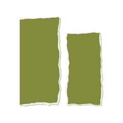 Obraz premium Abstract torn paper shapes organic geometry natural texture modern design elements isolated vector