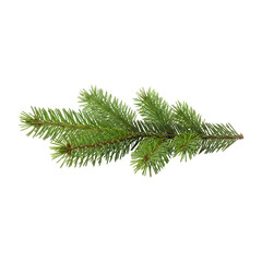 Naklejka premium christmas tree branch isolated