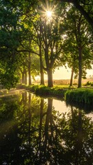 Serene morning light illuminates a tranquil canal lined with towering trees, their reflections shimmering on the still water.