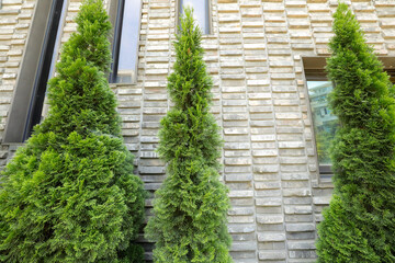 Contemporary Brick Building with Green Trees