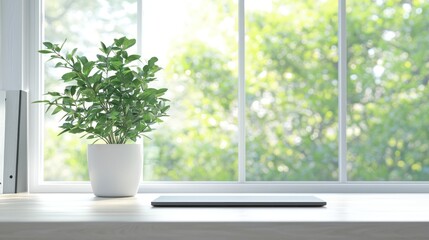 Fototapeta premium Windowsill plant tablet display
