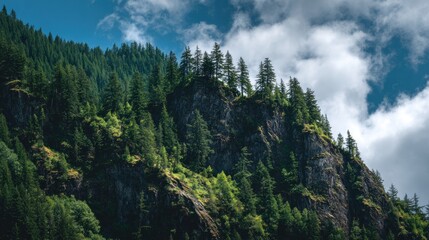 Fototapeta premium Rocky mountain forest landscape