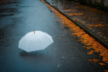 white umbrella rests elegantly on wet asphalt surface creating striking contrast