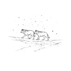 Obraz premium Two wolves walking side by side under a starry sky in a black and white minimalist illustration style