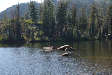 Five Lakes Trail, Tahoe National Park