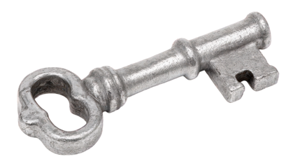 Antique Key In Monochrome Style