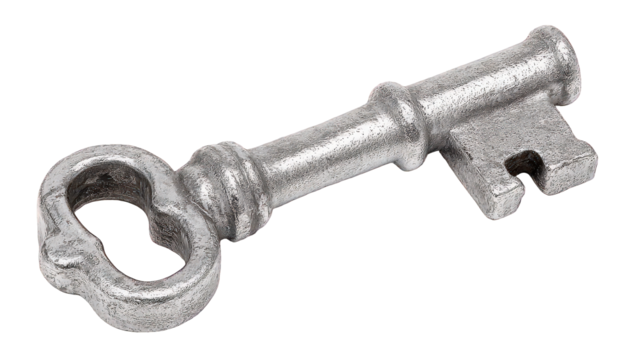 Antique Key In Monochrome Style