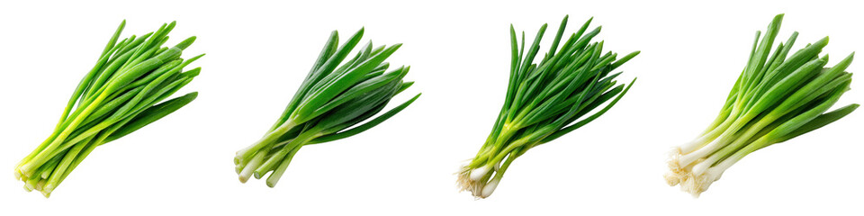 Fresh Green Onions Isolated on Transparent Background for Culinary Use