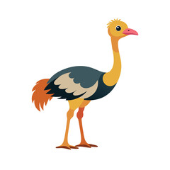 Ostrich White Background