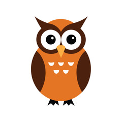 Owl White Background