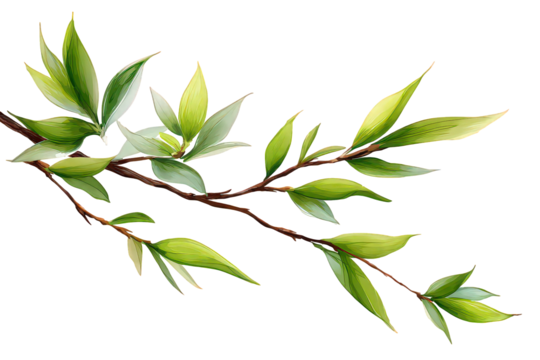 Delicate Green Branch with Leaves - Powered by Adobe