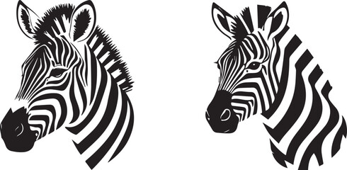 Fototapeta premium Vector zebra illustration with detailed face and striking patterns