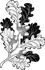 Contour oak branches