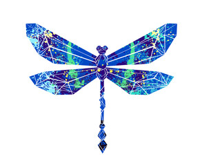 Colorful polygonal dragonfly