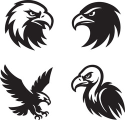 A colorful cartoon rooster and eagle hen vector illustration with a farm animal silhouette and detailed feather drawing