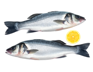 Sea bass fish with lemon slice isolated on transparent png
