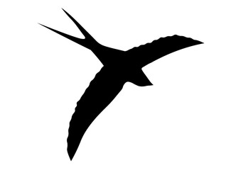 燕のシルエット
