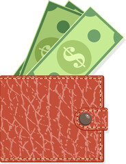 vector dollar banknotes in red leather wallet isolated on white background. paper cash money in wallet, flat style