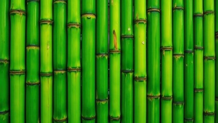 Naklejka premium A vibrant wall of tightly packed, vibrant green bamboo stalks.
