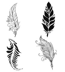 Obraz premium drawing feather illustrations design for templates. 