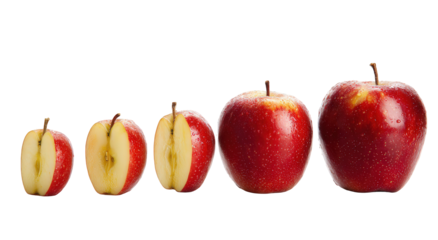 Red Apples Growth Stages Sequence Isolated on Black Background