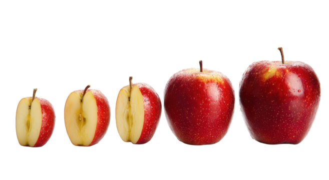 Red Apples Growth Stages Sequence Isolated on Black Background