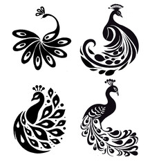 Peacock  drawing leaf illustrations design for templates.	