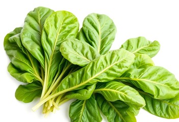 Fototapeta premium Vibrant green spinach leaves, freshly washed, isolated on pure white, healthy, mineral