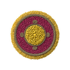 Abstract Mandala of Grains and Seeds A Colorful Circular Composition