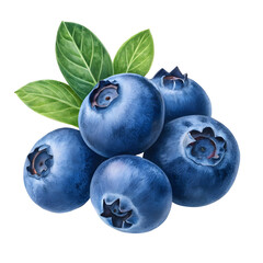 Obraz premium Juicy blueberries with green leaves cluster isolated on transparent background
