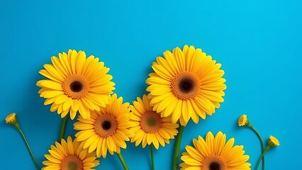 Artistic arrangement of yellow gerbera flowers against a vibrant blue background.