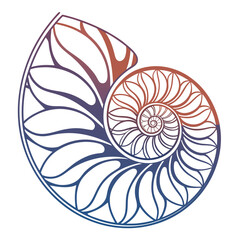 Obraz premium Stylized nautilus shell spiral with gradient colors transitioning from blue to orange and purple on a white background