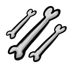 Three bone illustration