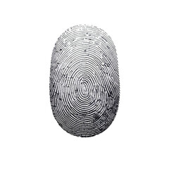 Close-up of a detailed fingerprint, oval shape, grayscale, textured ridges, isolated on black