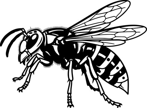 black and white wasp insect clip art preview