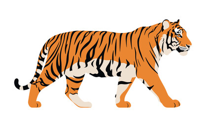 Obraz premium Striking Tiger Walking Animal Illustration on white background