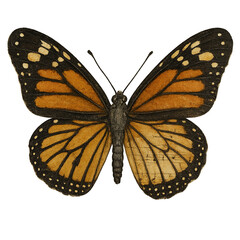 Vintage Butterfly Junk Journal Clipart - Scrapbook Ephemera, Collage Decor