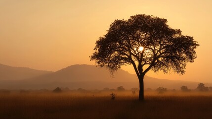 Obraz premium A solitary tree silhouetted against a golden sunrise over a misty savanna.