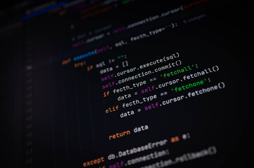 Close-up of Python code for executing SQL queries and fetching data using cursor methods like...