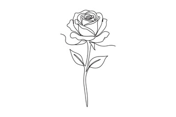  Single line drawing of a rose with stem and leaves