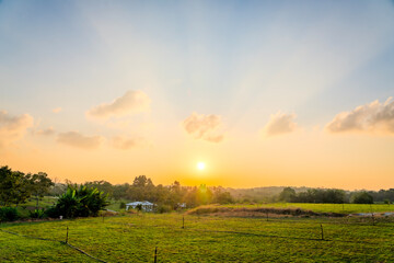 Fototapeta premium Sunset or sunrise over lush green field with a dramatic cloudy sky. Evening meadow or agricultural grass with sunlight. Countryside. Rural landscape. Farm