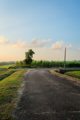 Rural landscape along a gravel road at sunset or sunrise. Evening or morning country road with idyllic countryside grass field