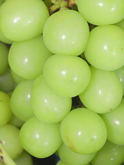 Yamanashi, Japan - September 19, 2025: Closeup of freshly picked Shine muscats 
