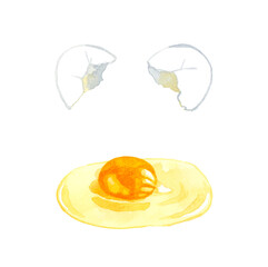 殻を割った白い鶏卵（生卵）　卵料理の手描き水彩イラスト素材