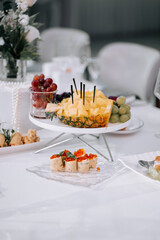 Delicious fruit platter and sushi served at a festive gathering