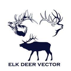 Whitetail Deer antlers collection of deer horns vector illustration