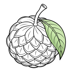 cherimoya fruit line art on white background
